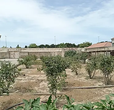 Satılır torpaq sahəsi 20 m²