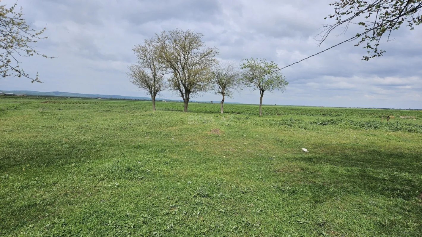 Satılır torpaq sahəsi 58 m²