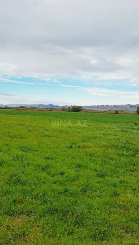 Satılır torpaq sahəsi 20000 m²