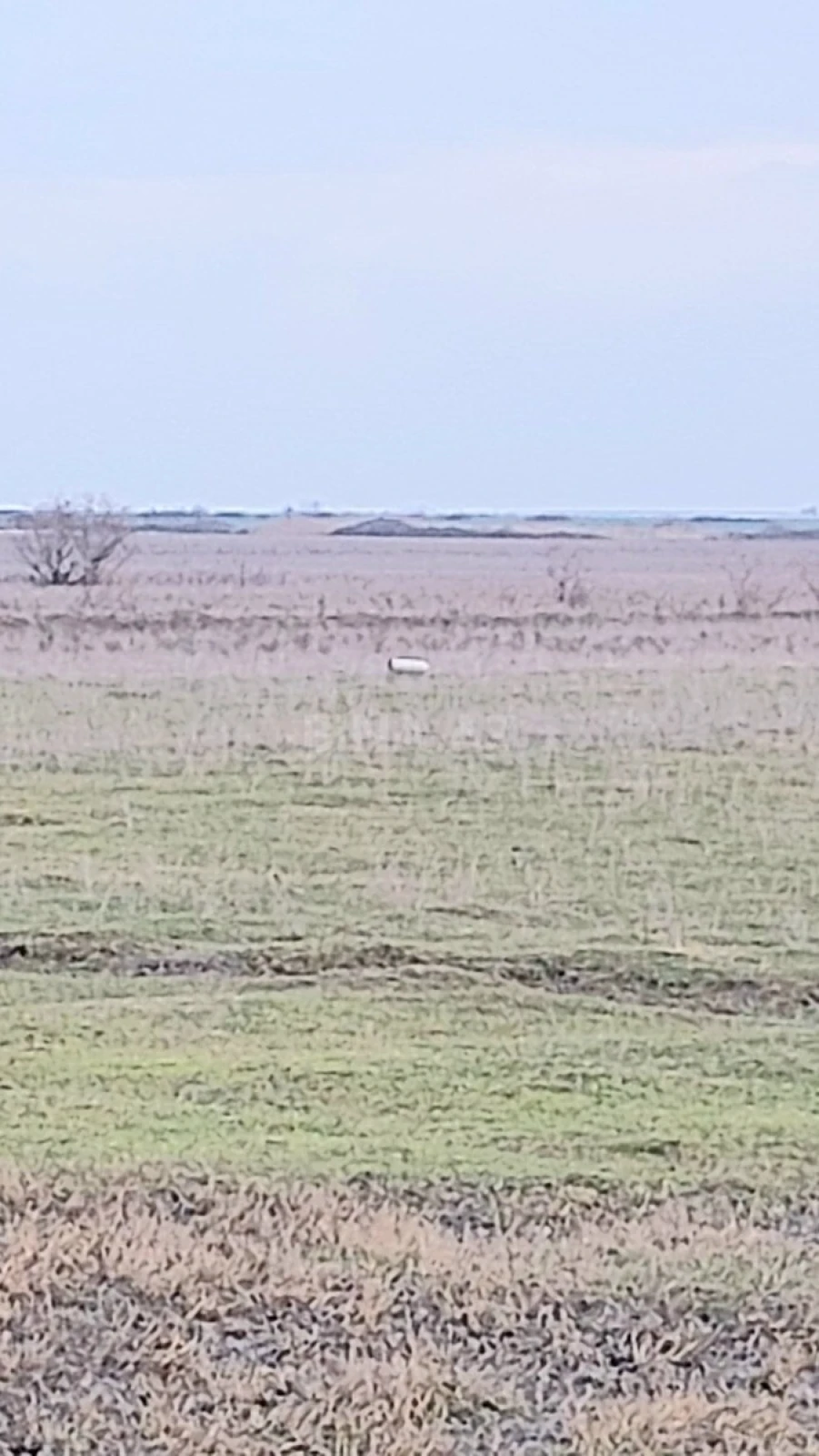 Satılır torpaq sahəsi 20000 m²