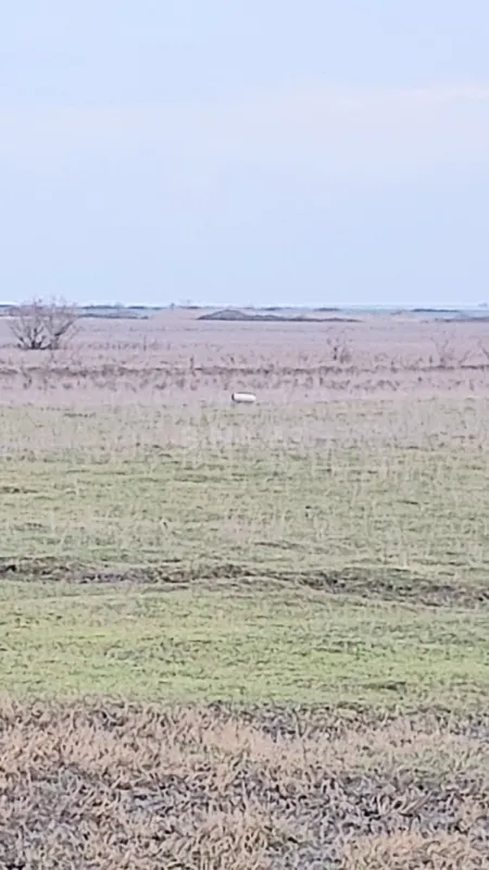 Satılır torpaq sahəsi 20000 m²