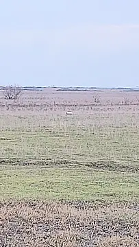 Satılır torpaq sahəsi 20000 m²