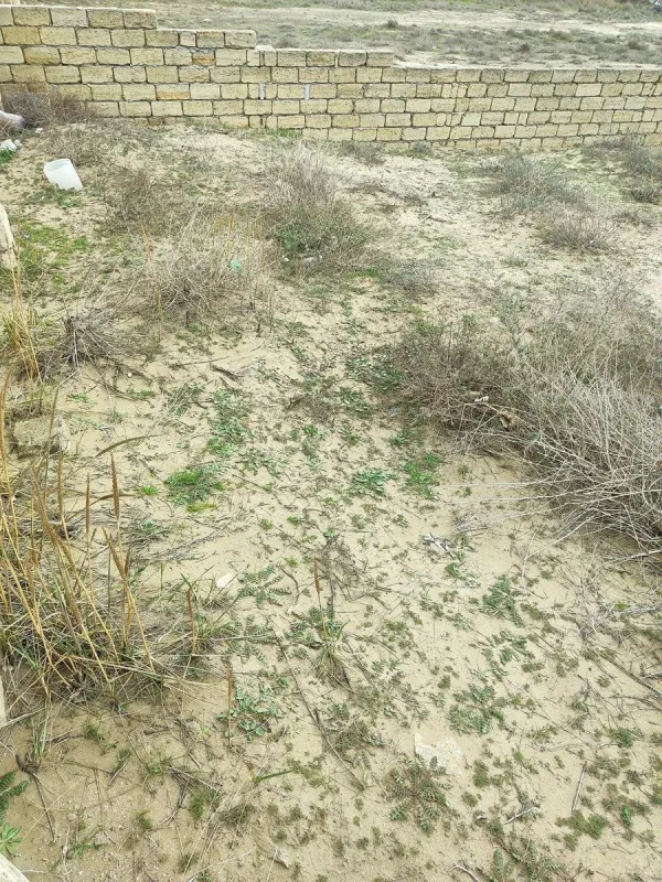 Satılır torpaq sahəsi 12 m²