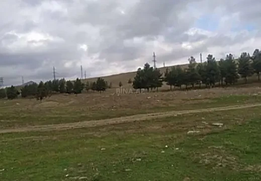 Satılır torpaq sahəsi 556 m² — Şamaxı 556.00 m²