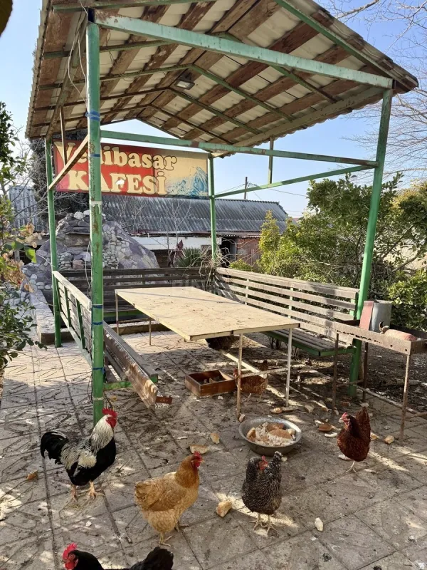 Satılır obyekt 1250 m²