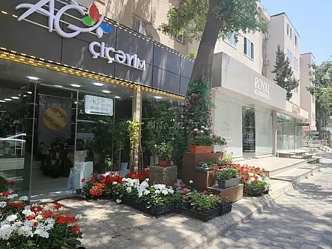 Satılır 2 otaqlı mənzil 50 m² — Bakı, Nəsimi 2 otaq 50.00 m²