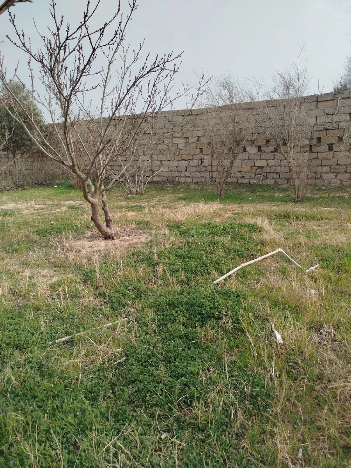 Satılır torpaq sahəsi 5 m²