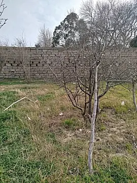 Satılır torpaq sahəsi 5 m² — Bakı, Görədil 5.00 m²