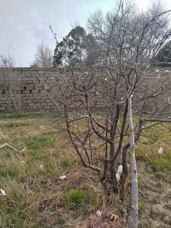 Satılır torpaq sahəsi 5 m²