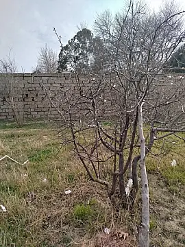 Satılır torpaq sahəsi 5 m²