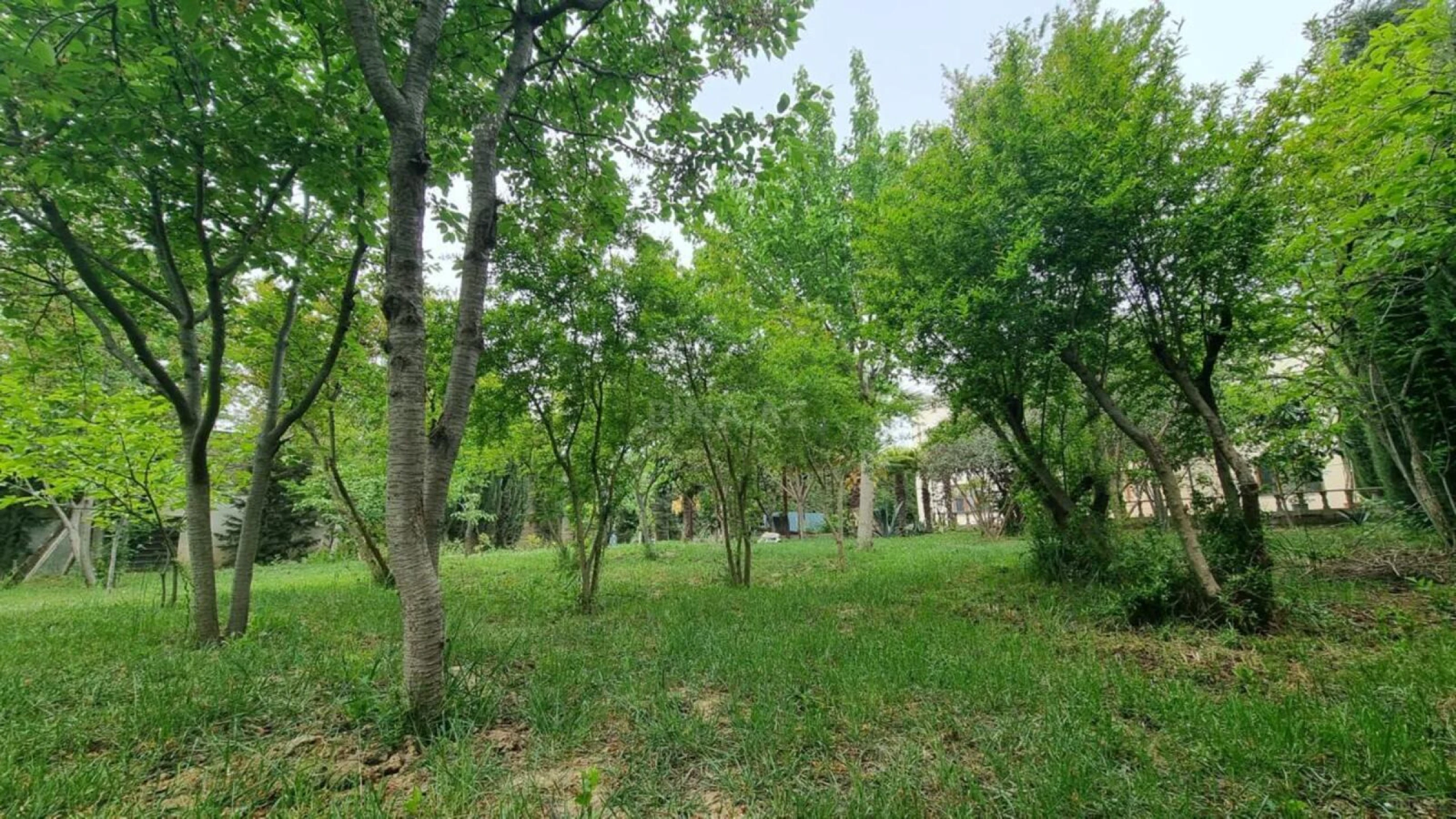 Satılır 10 otaqlı həyət evi 408 m²