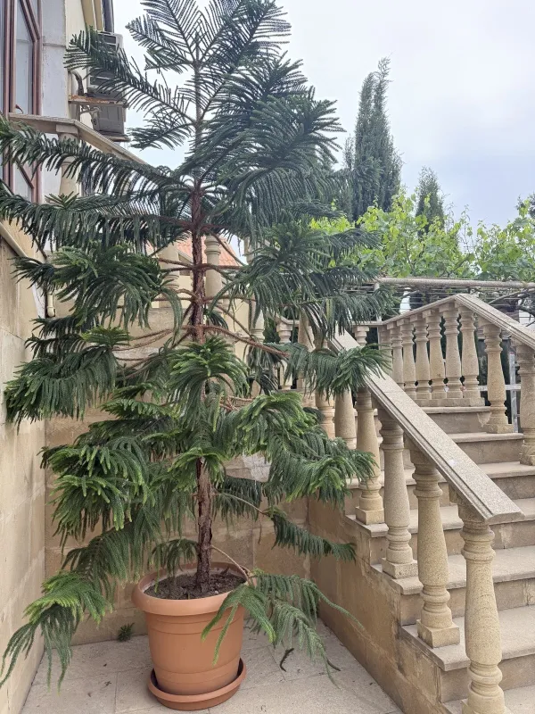 Satılır 10 otaqlı həyət evi 408 m²