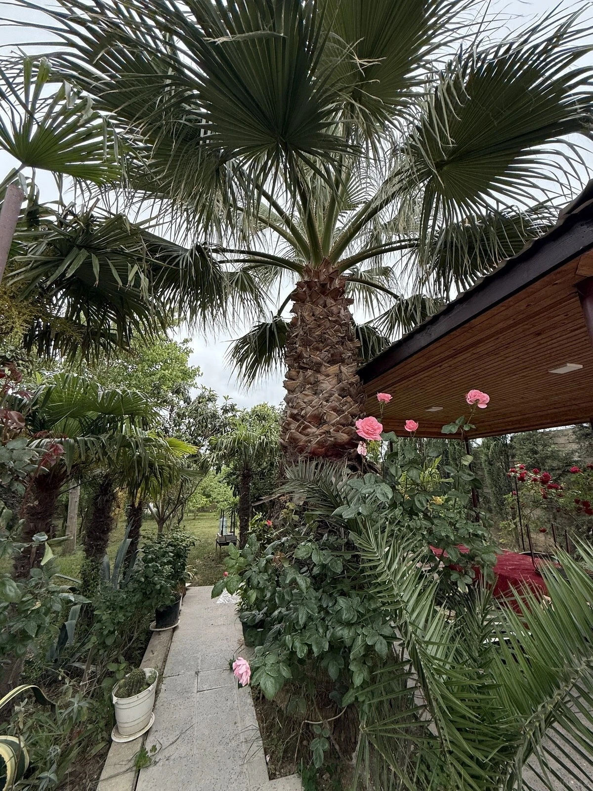 Satılır 10 otaqlı həyət evi 408 m²