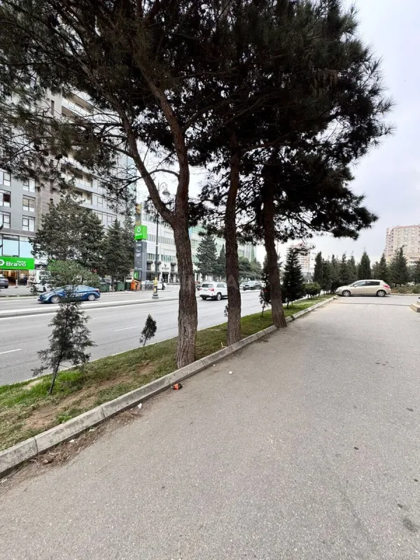 Kirayə verilir obyekt 73.3 m²