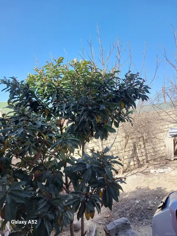 Satılır 4 otaqlı həyət evi 130 m²