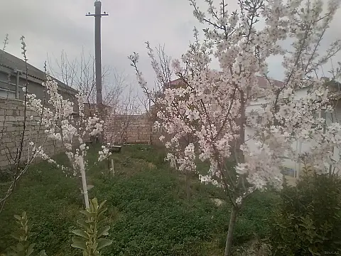 Satılır 3 otaqlı həyət evi 60 m²