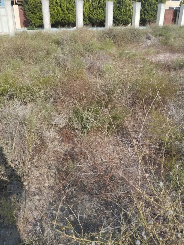 Satılır torpaq sahəsi 2.5 m²