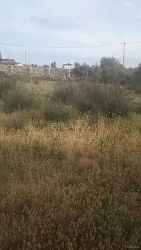 Satılır torpaq sahəsi 21 m²