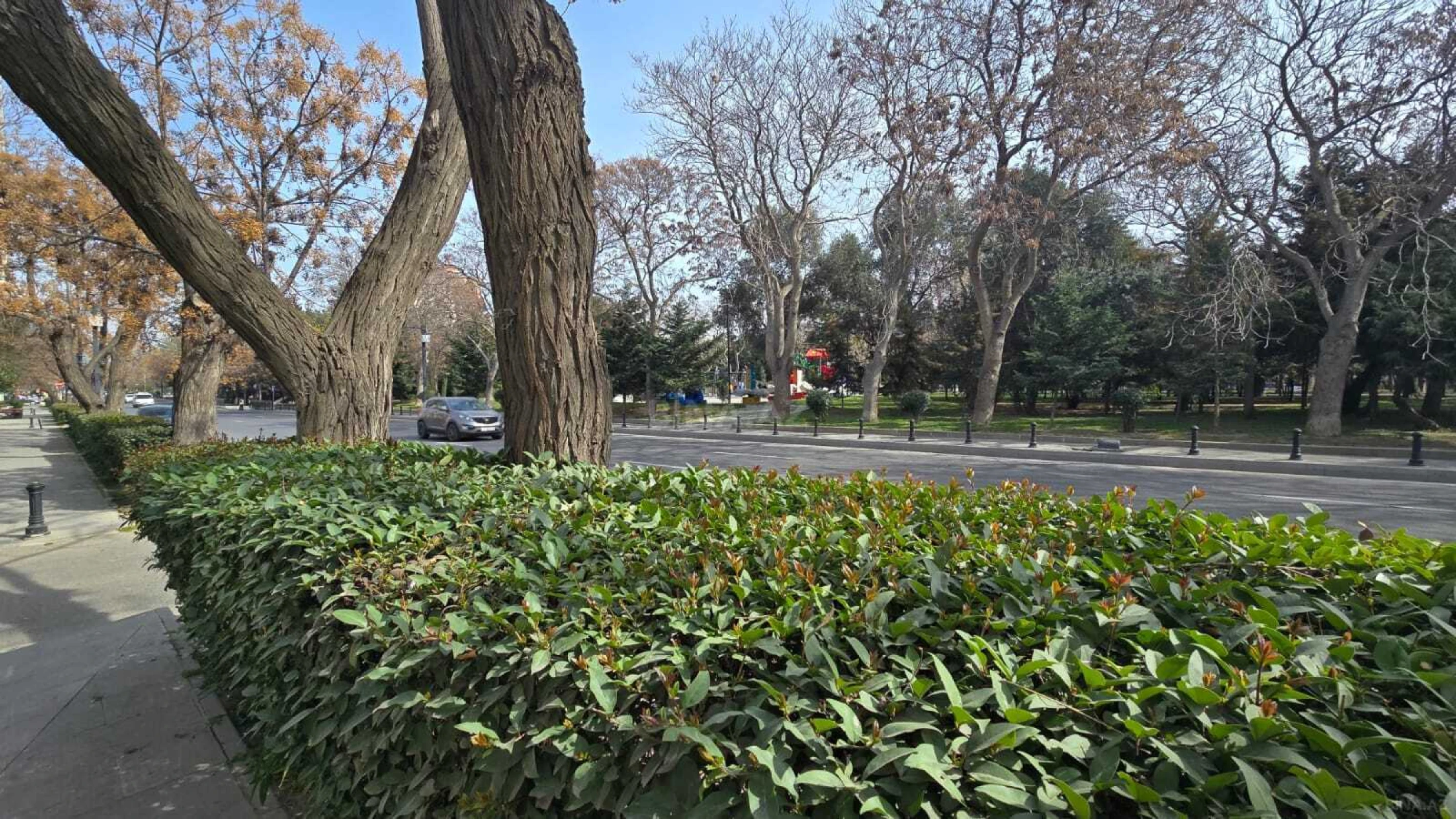 Kirayə verilir obyekt 73 m²