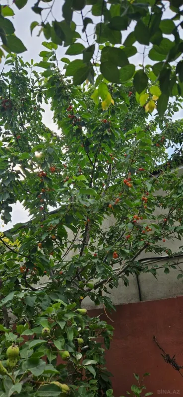 Satılır 3 otaqlı həyət evi 150 m²