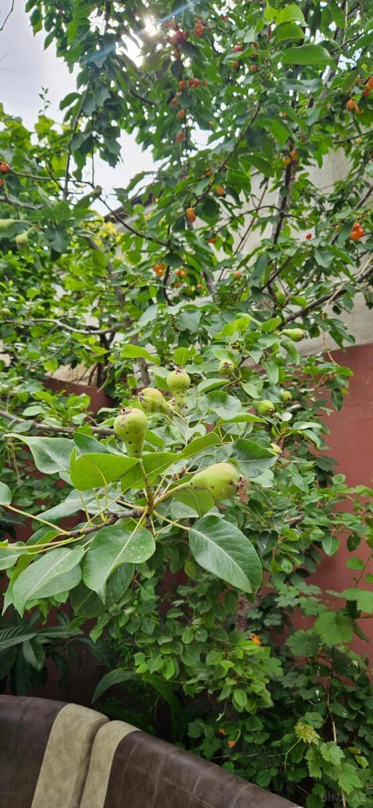 Satılır 3 otaqlı həyət evi 150 m²