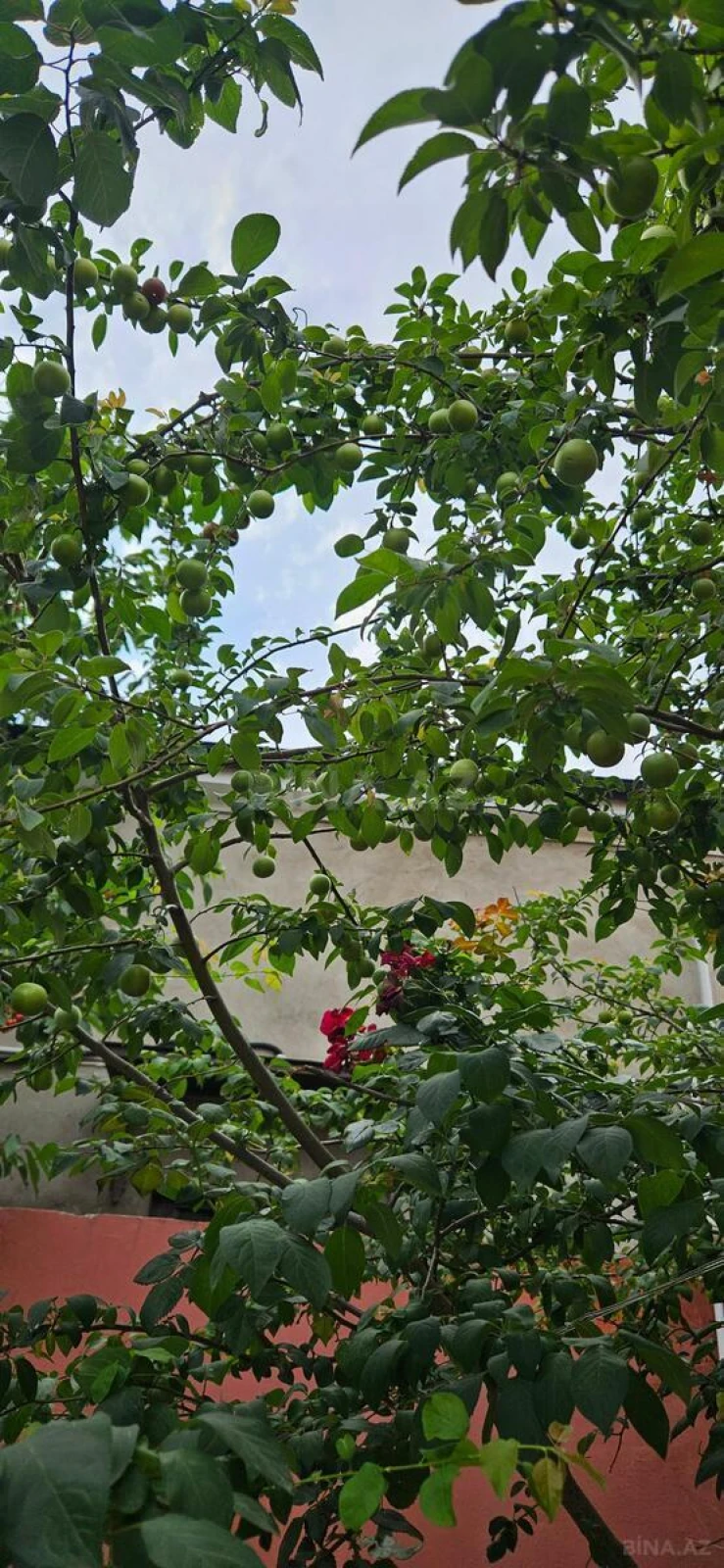 Satılır 3 otaqlı həyət evi 150 m²