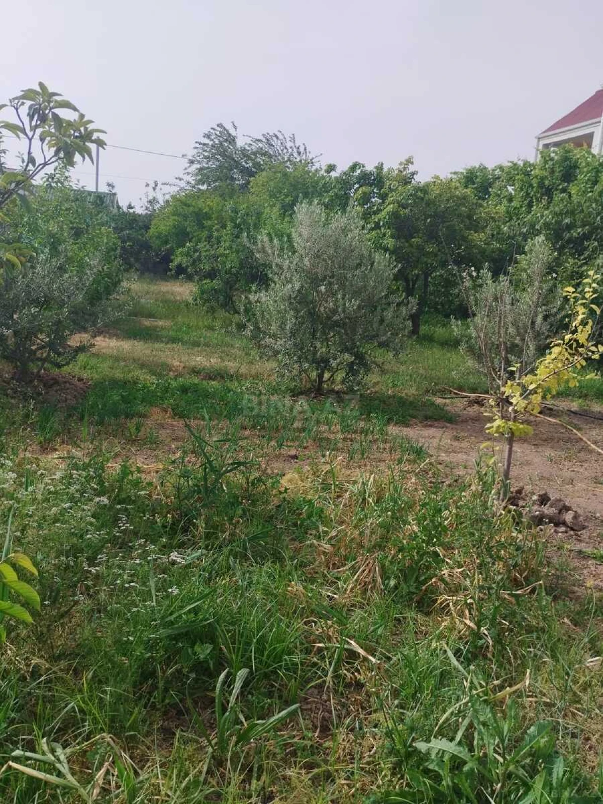 Satılır 5 otaqlı həyət evi 380 m²