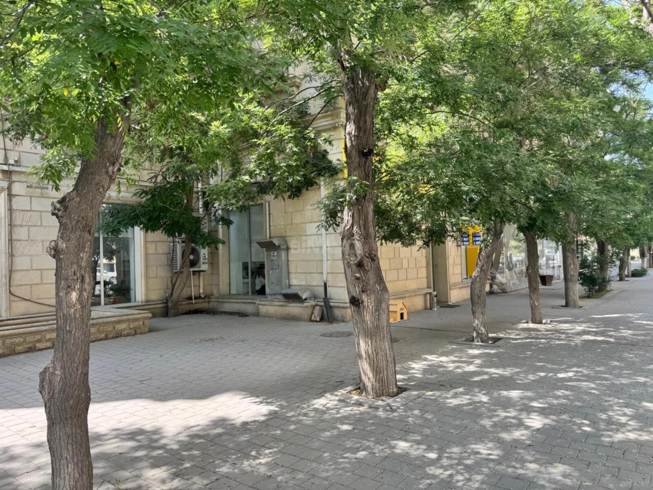 Satılır obyekt 250 m²