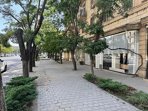 Satılır obyekt 250 m²