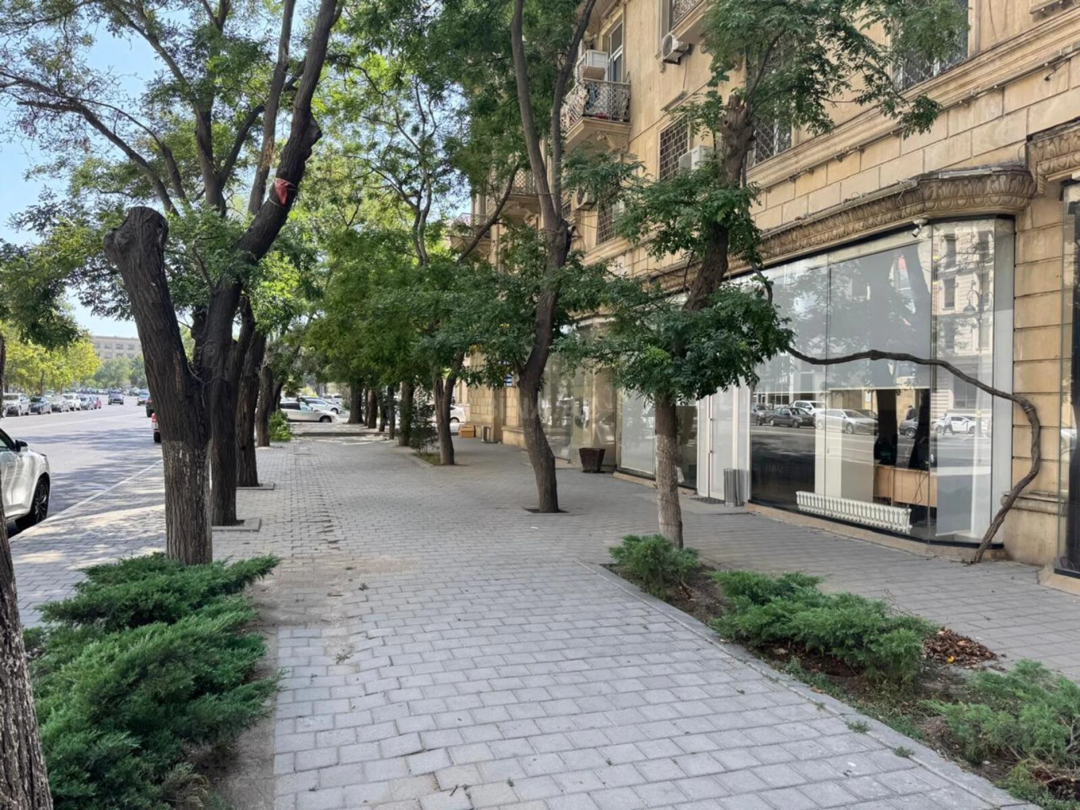 Satılır obyekt 250 m²