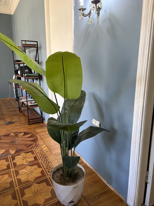 Kirayə verilir 1 otaqlı ofis 50 m²