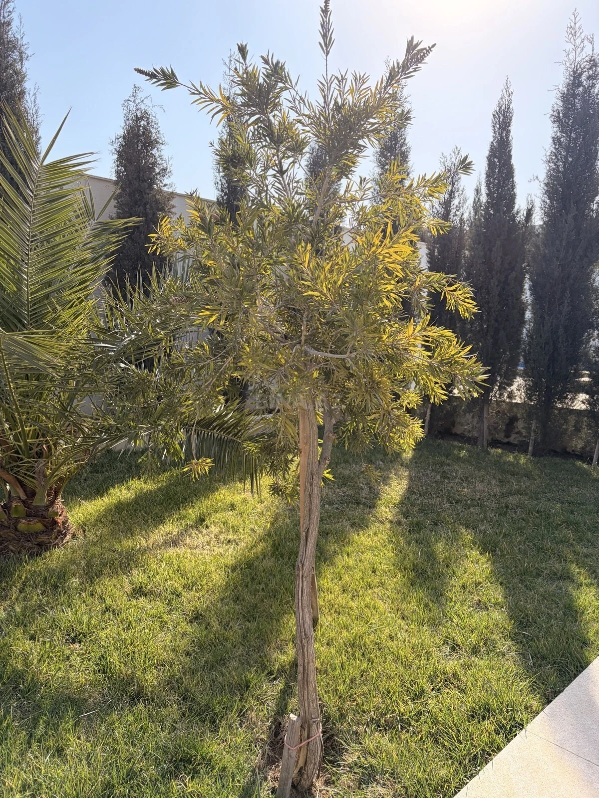 Kirayə verilir 4 otaqlı həyət evi 120 m²