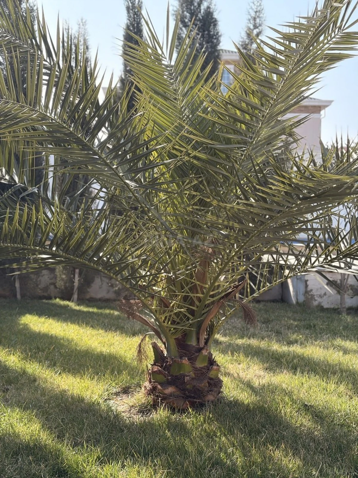 Kirayə verilir 4 otaqlı həyət evi 120 m²