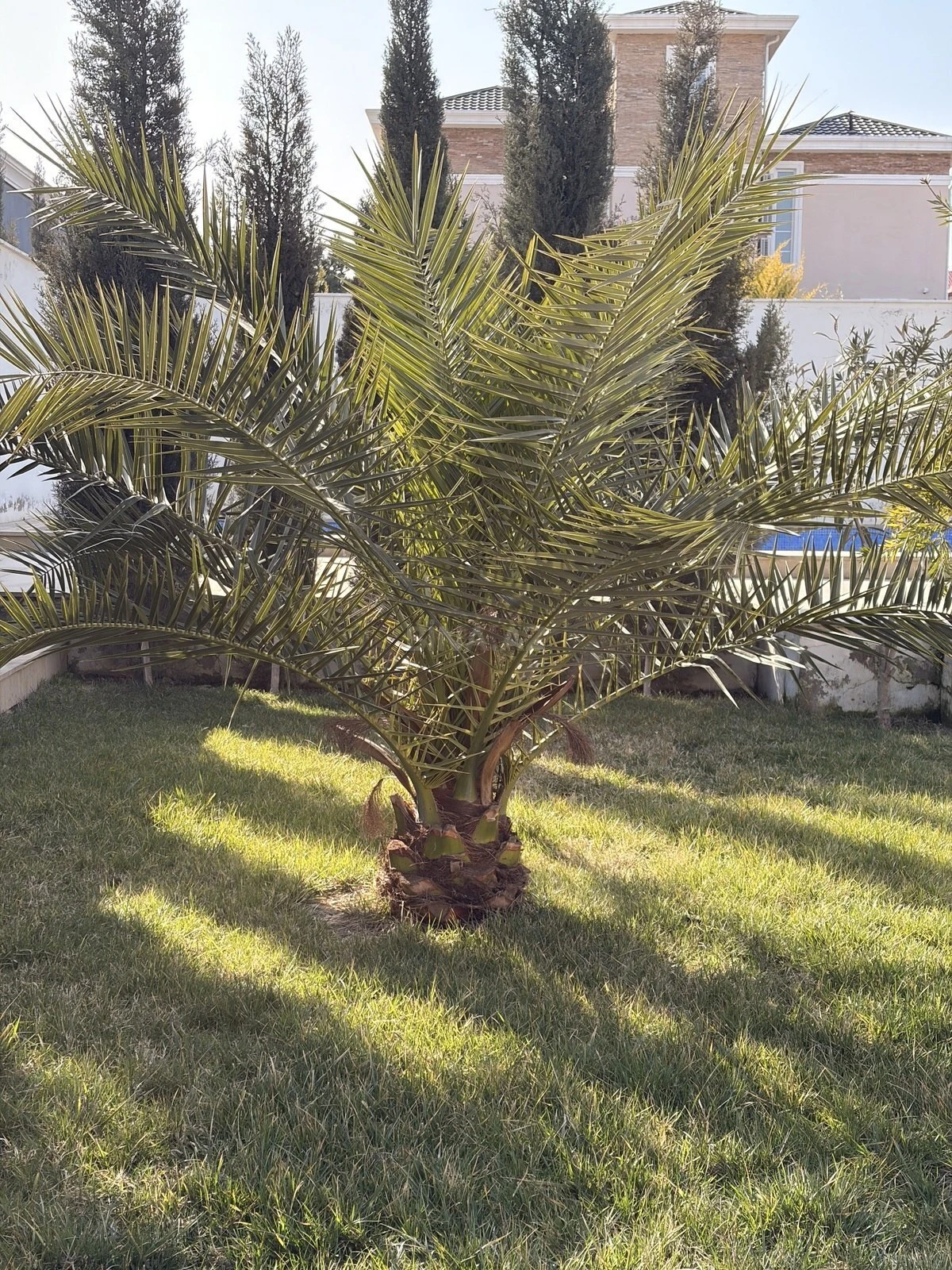 Kirayə verilir 4 otaqlı həyət evi 120 m²