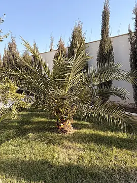 Kirayə verilir 4 otaqlı həyət evi 120 m²