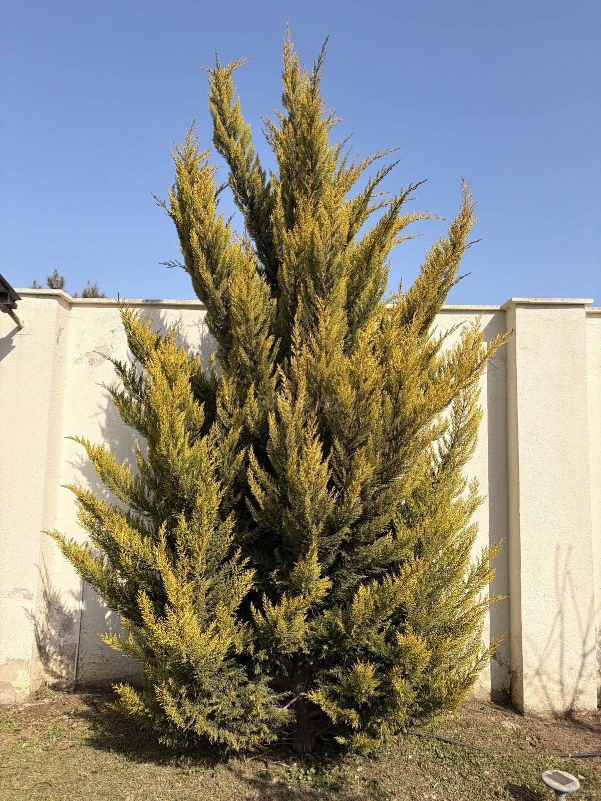 Kirayə verilir 4 otaqlı həyət evi 120 m²