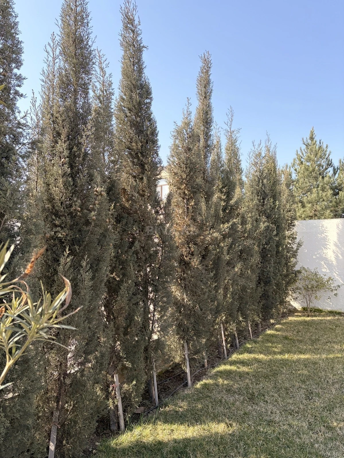 Kirayə verilir 4 otaqlı həyət evi 120 m²