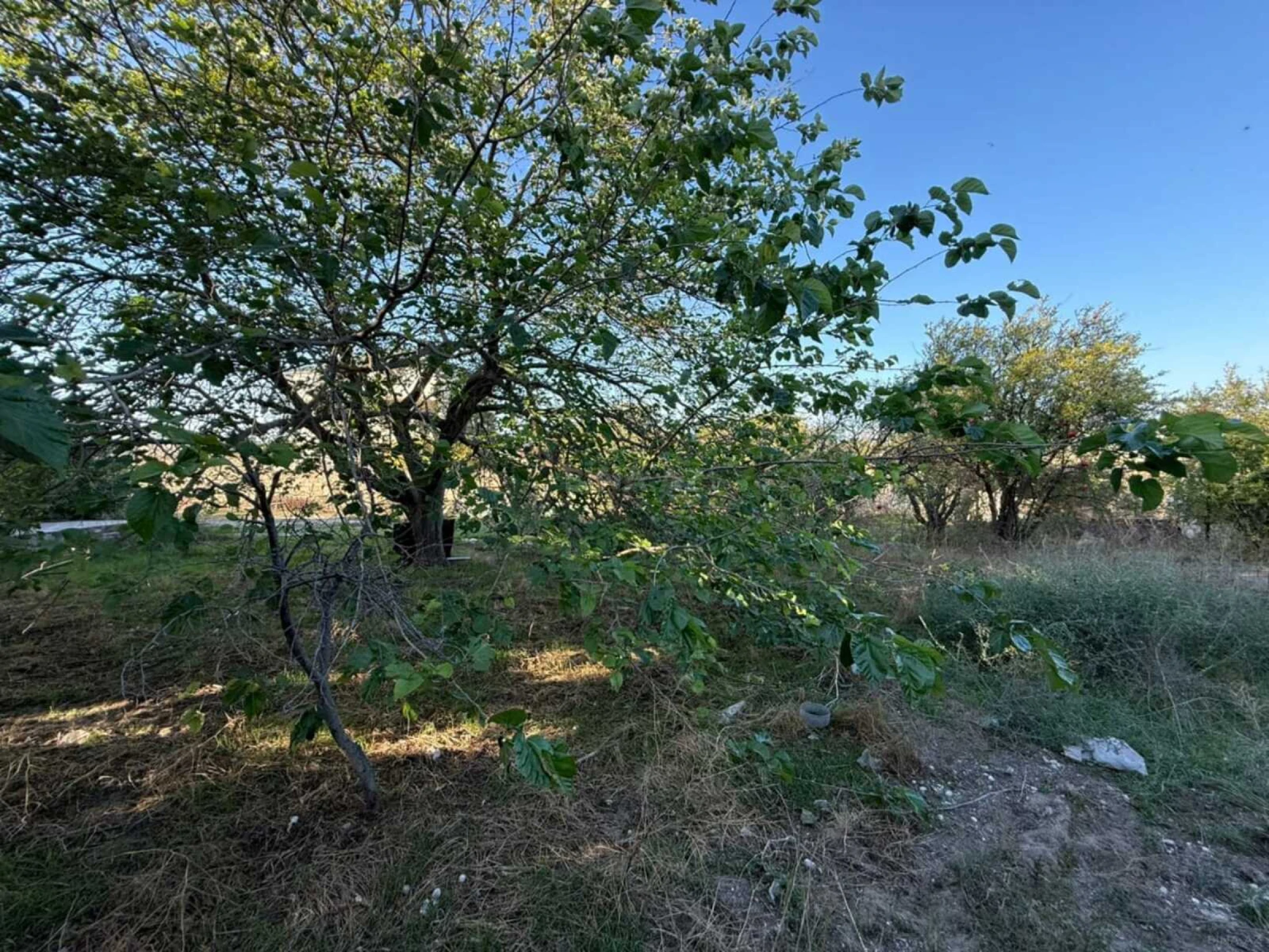 Satılır 7 otaqlı həyət evi 450 m²