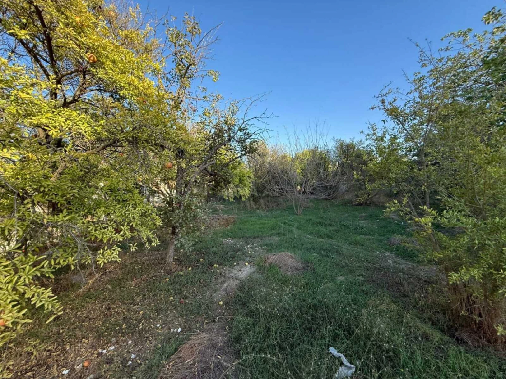 Satılır 7 otaqlı həyət evi 450 m²