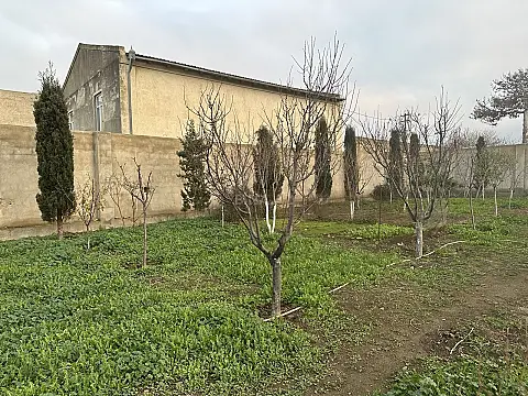 Satılır torpaq sahəsi 21.6 m² — Bakı, Buzovna 21.60 m²