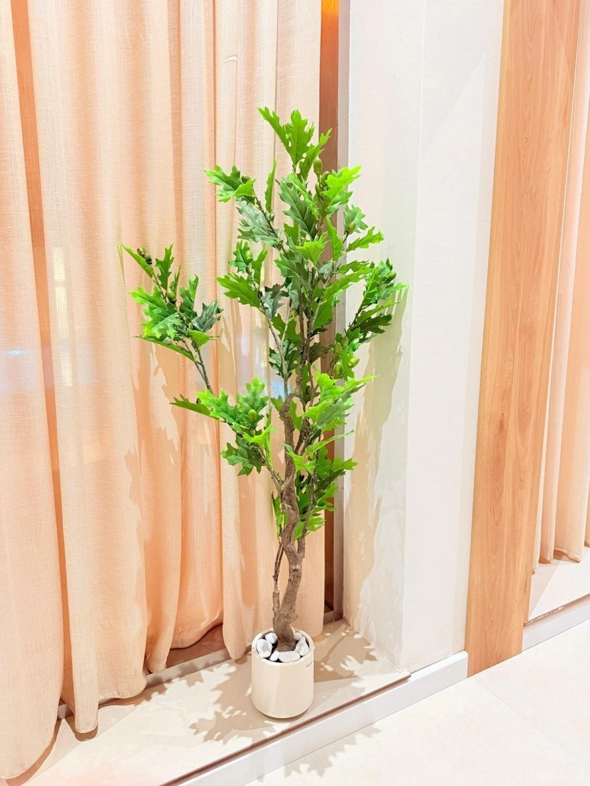 Kirayə verilir 4 otaqlı həyət evi 300 m²