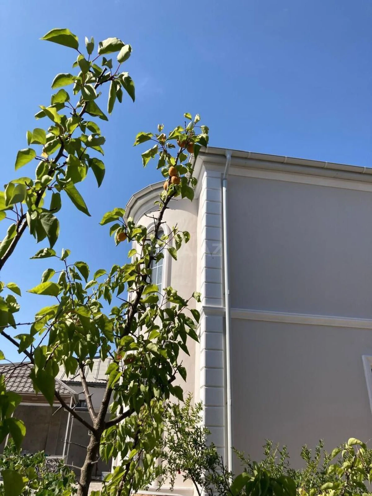 Satılır həyət evi 220 m²