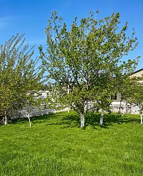 Satılır 4 otaqlı həyət evi 140 m²