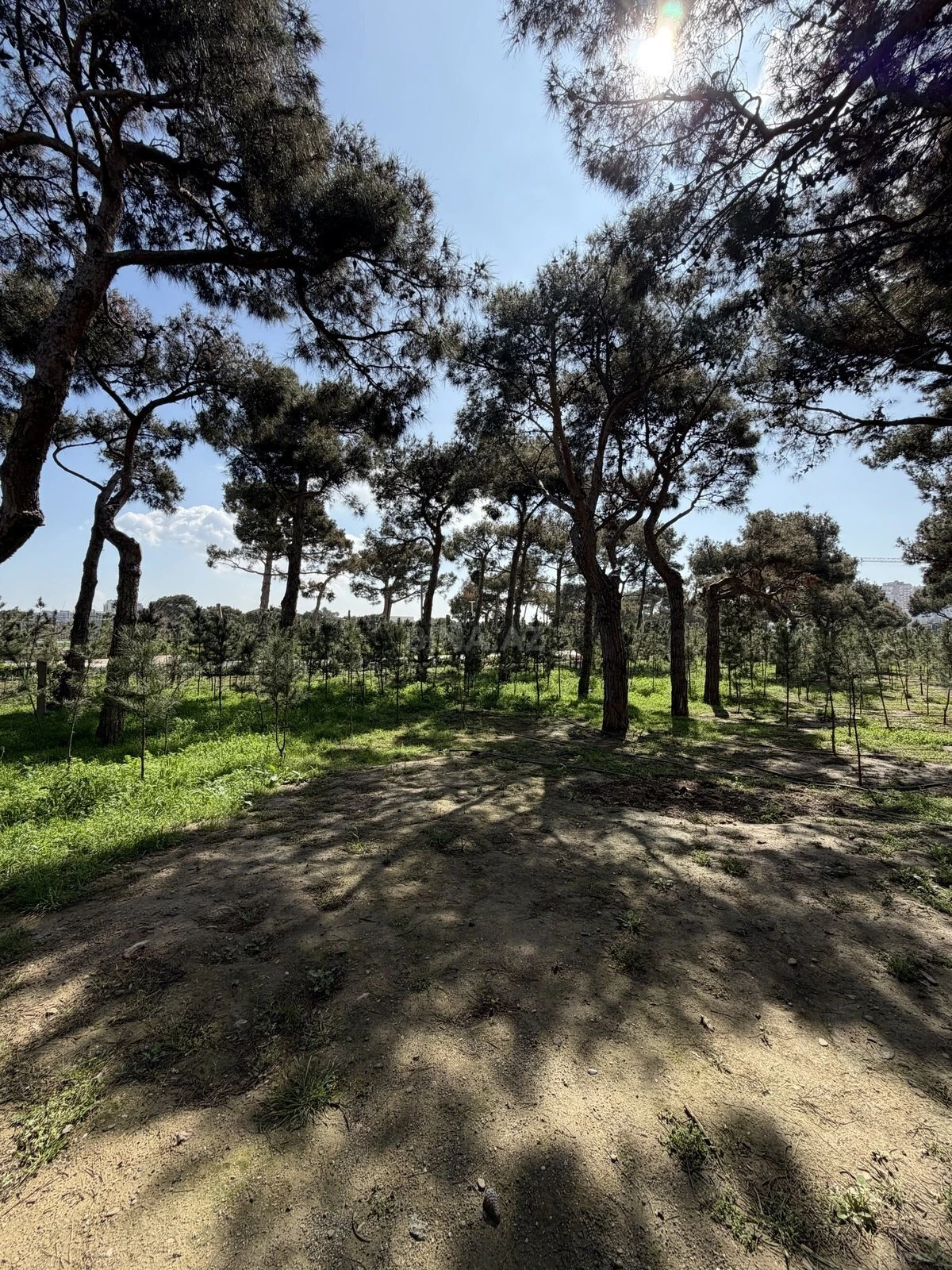 Satılır 3 otaqlı mənzil 66 m²