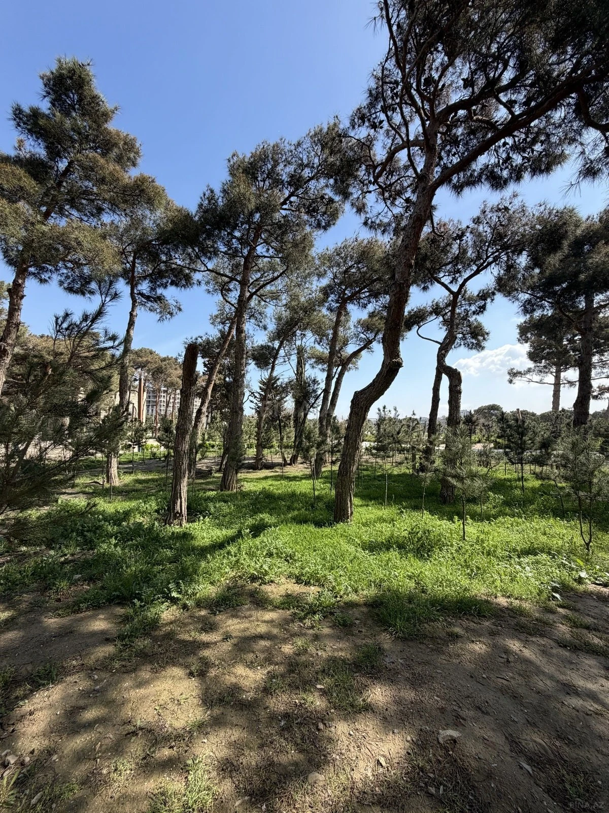 Satılır 3 otaqlı mənzil 66 m²