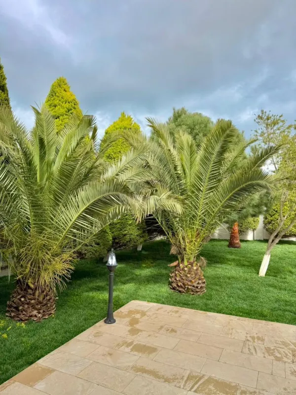 Satılır 4 otaqlı həyət evi 180 m²