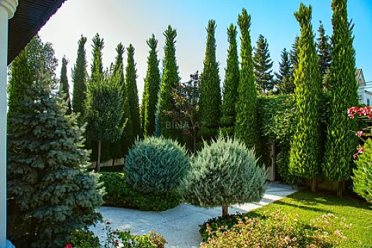 Kirayə verilir 16 otaqlı həyət evi 700 m²