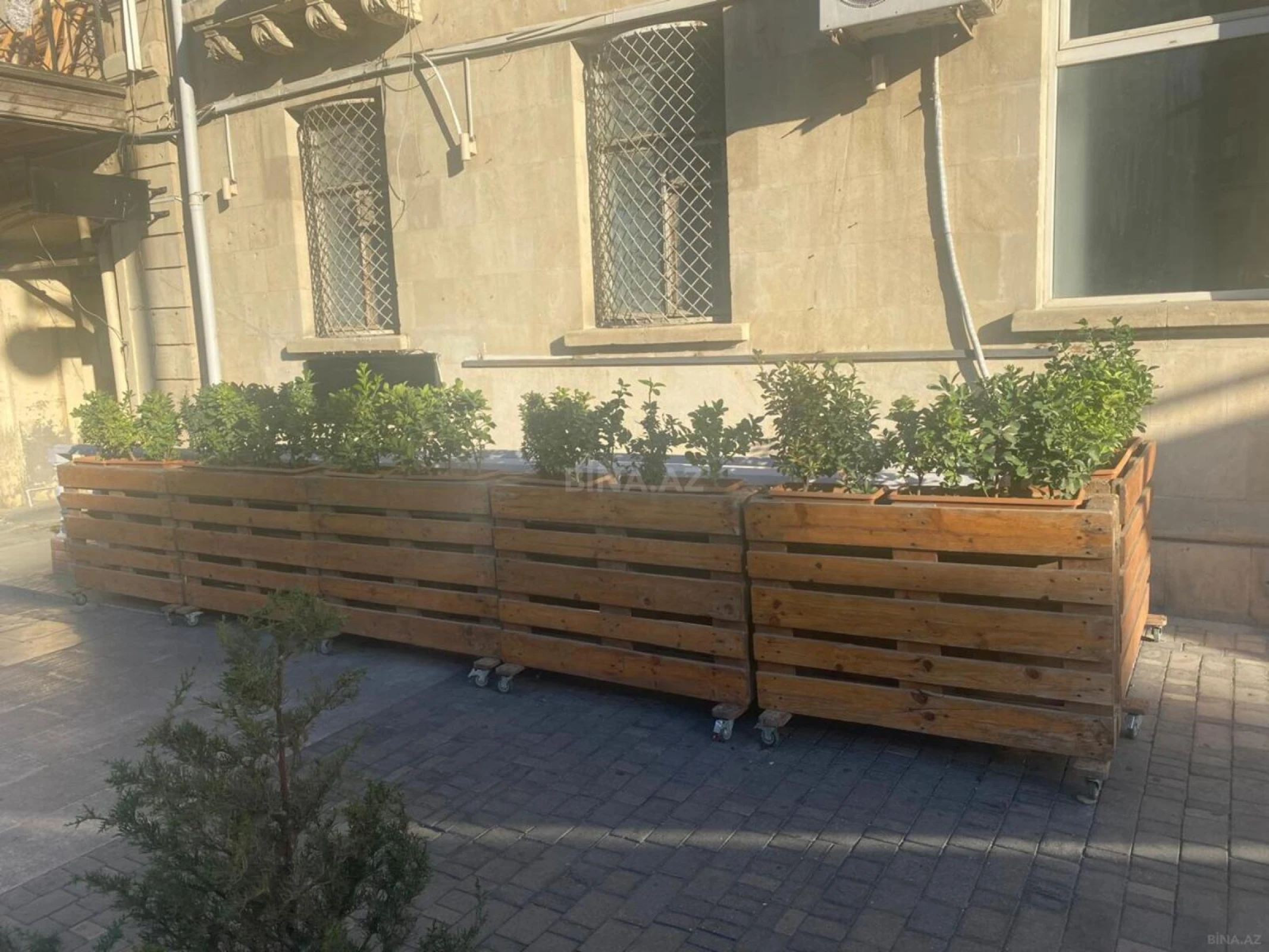 Kirayə verilir obyekt 80 m²