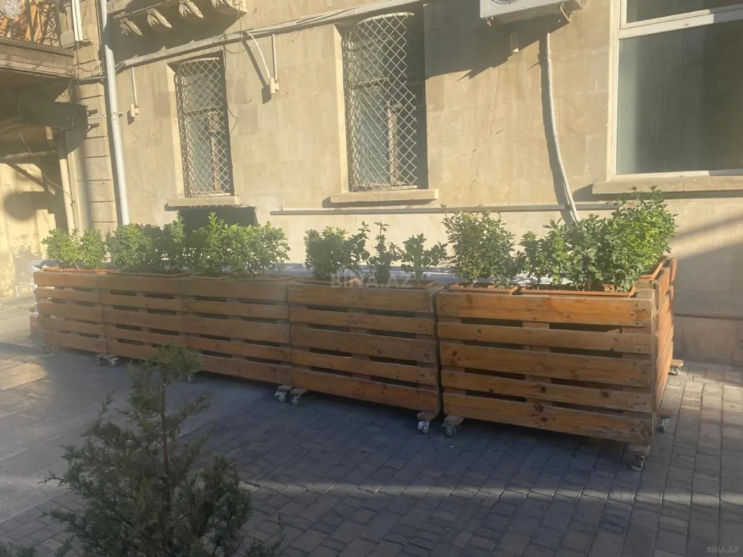 Kirayə verilir obyekt 80 m²