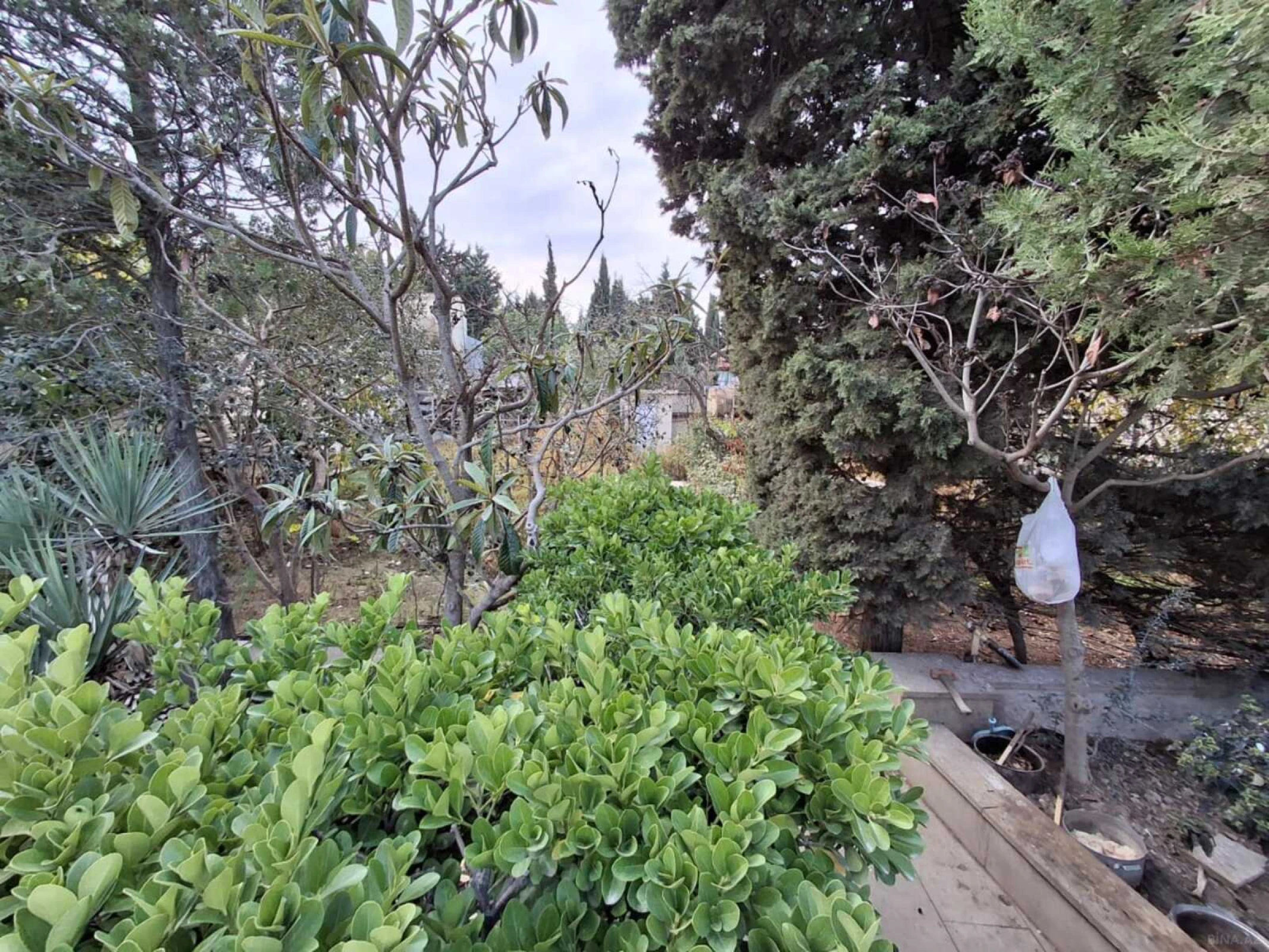 Satılır 12 otaqlı həyət evi 800 m²